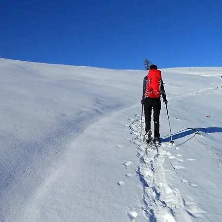 Haus Thurner Apartament *