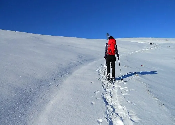 Haus Thurner アパート *